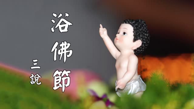 浴佛节三说丨普陀山智宗