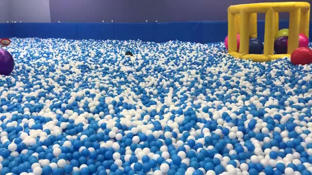 际华园蓝色海洋球世界.萌宝乐园.重庆极地世界乐园中最温柔的姿势