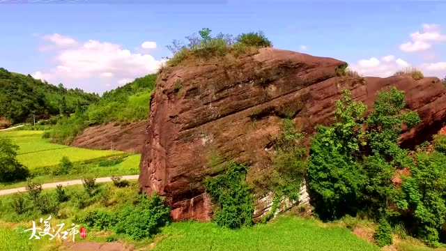 十六号选手讲解视频