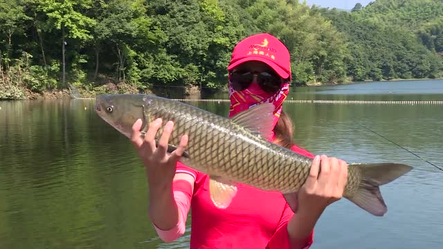 李玲玲十年情旗舰钓大草!