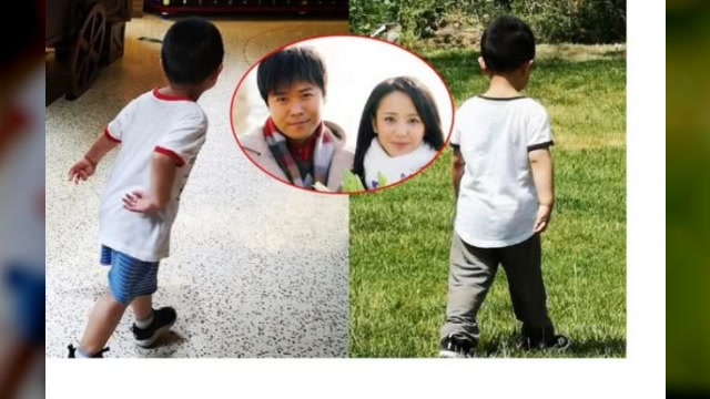 佟丽娅儿子萌照,宝宝身板壮实侧脸超像陈思诚