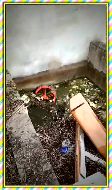 刚买来宠物,一转眼就掉进粪坑,这宠物还有救吗?