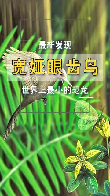 今日中外科学家联合宣布发现迄今为止最小的恐龙宽娅眼齿鸟