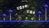 天铭 泰拉瑞亚 1.3手机版 43 松露虫 你出来呀 这里有棒棒糖