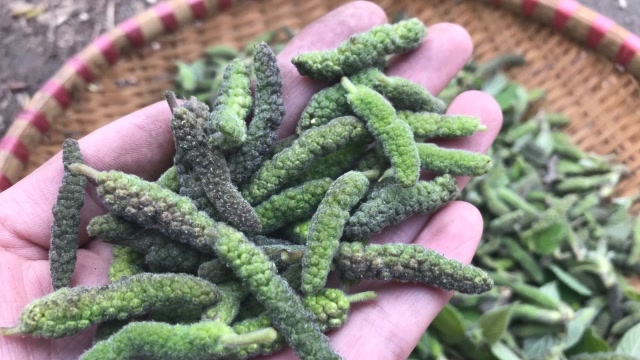 野生的"构树花"您吃过吗?教你3招,比厨师长做的还好吃!