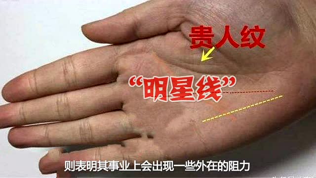 女人事业线图解:手纹事业线是哪一条,爱情线事业线生命线图解