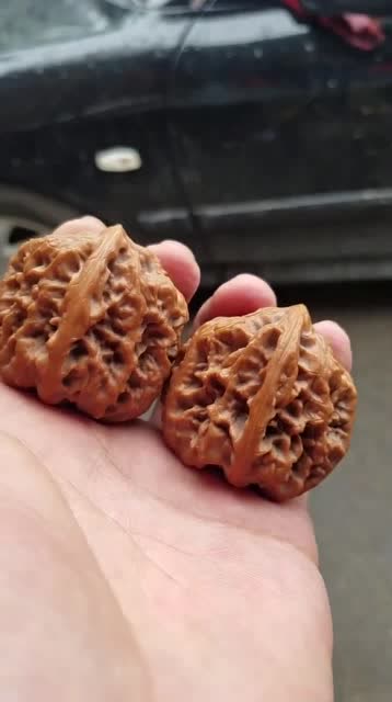 一代核尊狮子头核桃刷了一上午初见成效皮色诱人吧