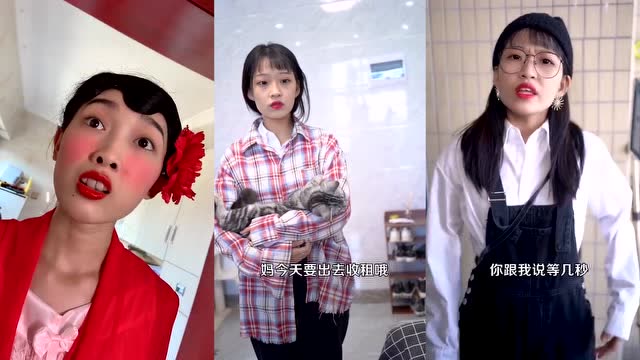 神探包租婆:龅牙春好怂,小兰说什么她就做什么?