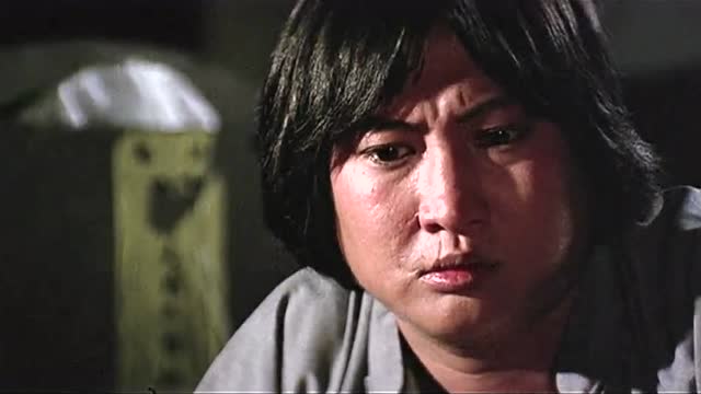 龙拳虎拳狗拳猴拳都见过了,猫拳真是第一次见