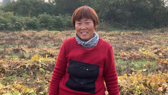 农村光棍越来越多,有车有房都找不到媳妇,听听农村55岁大婶咋说