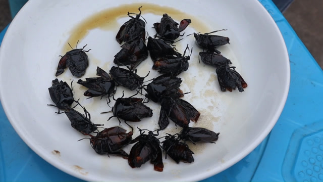 四川农村小伙挑战吃300块一斤的臭屁虫炸成了非洲大汉