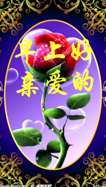 早上好亲爱的你醒了吗,醒了记得先微笑