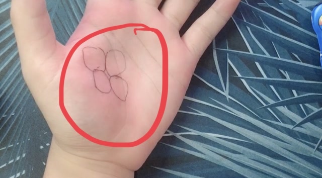 拥有父爻纹的人总能遇到贵人那么你是这样的手纹吗