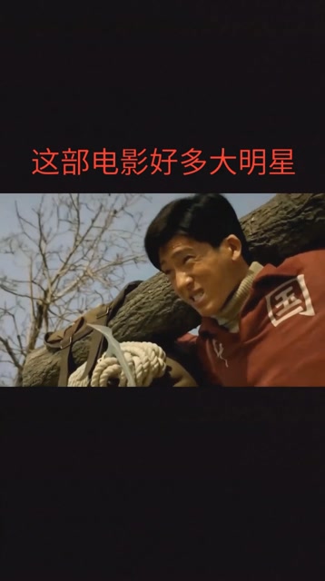 这部电影有好多大明星呀