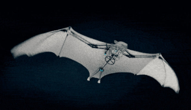 黑科技:仿生机械知多少?放心,仿生蝙蝠是不带冠状病毒的