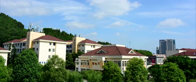 100秒看西南科技大学城市学院