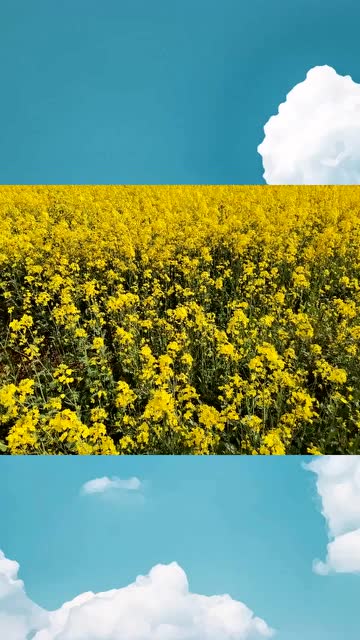 春暖大地,万物复苏,地泽万物,农业是天