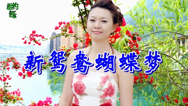 卓依婷一首《新鸳鸯蝴蝶梦》怀旧金曲,古风古韵,太好听了!
