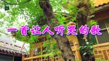 結婚式余興歌超好听感动 腾讯视频 結婚式余興歌超好听感动 腾讯视频