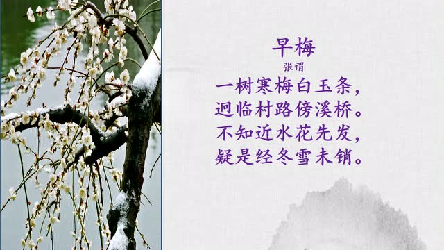 《早梅》早梅一枝傲风骨,诗韵悠悠意无穷
