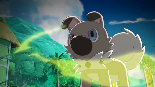 精灵宝可梦:小智真是不要脸,居然让岩狗狗使出了z招式