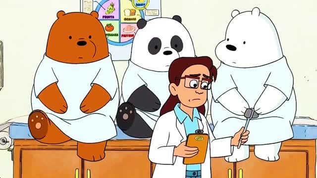 美女医生帮白熊三兄弟做体检,白熊居然喜欢上美女医生吗?