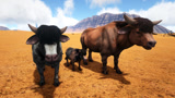 方舟生存进化：侏罗纪探险22给公牛找了个伴可爱的小牛犊诞生