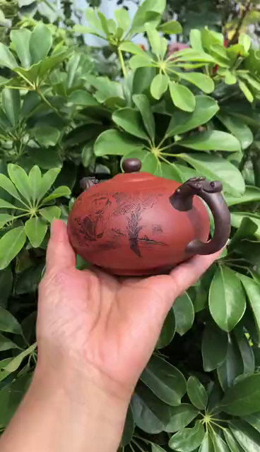 紫砂壶—紫先生带你赏美壶 观世如棋-朱萍萍