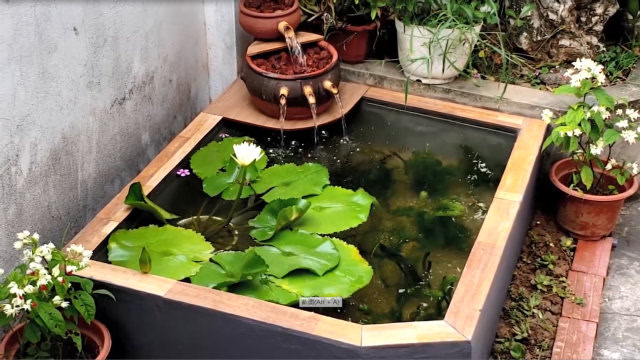 用红砖和水泥制作鱼池水族箱,工钱300开始觉得贵,看到成品值了
