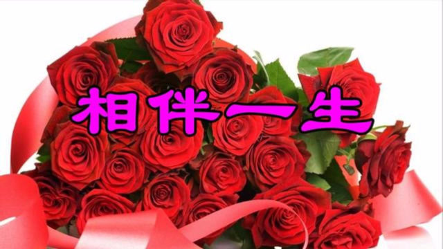一首情歌送给天下夫妻,祝你们幸福一生,相伴一生