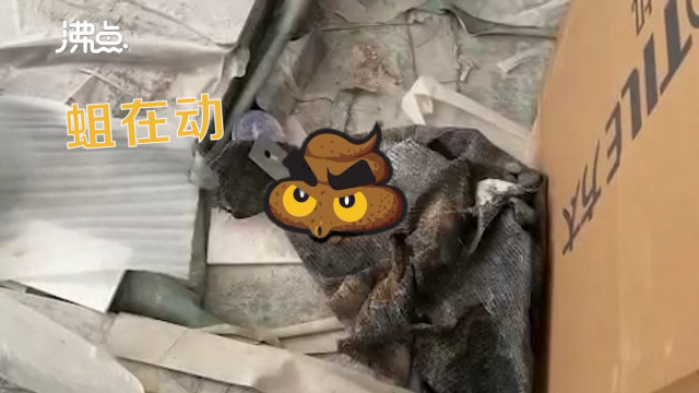 武汉市民400万买精装房卧室发现大便:都长蛆了 想吐