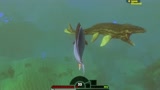 海底大猎杀：这条小鱼敢去挑战沧龙