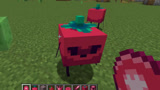 我的世界新物种会动的番茄君，看起来超萌