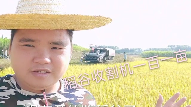 农人二胖:今年大丰收,稻谷粒粒饱满,五谷丰登