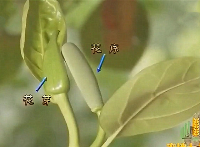 ۴ͬ,仨̬,СΪһ