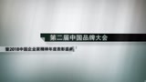 中国品牌大会媒体采访_腾讯视频
