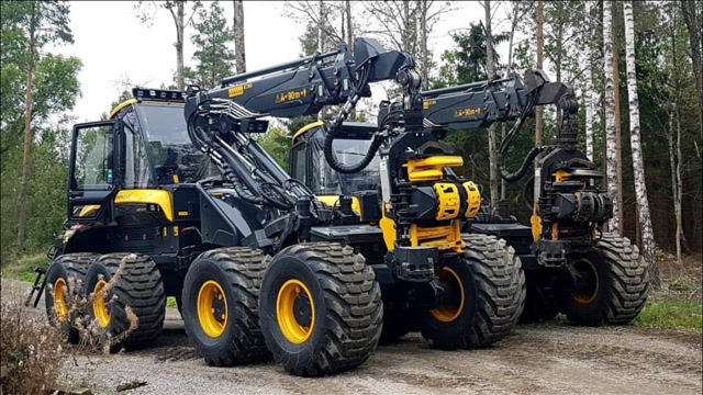 超大型伐木机工作过程,砍树好比切萝卜一样容易,这操作真绝了