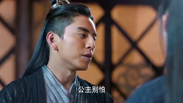 狼殿下:渤王一眼认出假公主,命夜煞前去将褚真带来