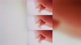 光遇：「纯水」