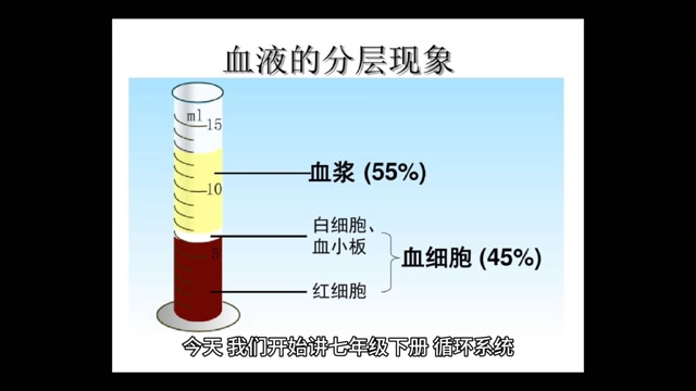 流动的组织——血液