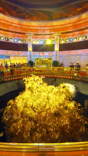 澳门永利酒店价值20亿的发财树,每片叶子都是纯金打造