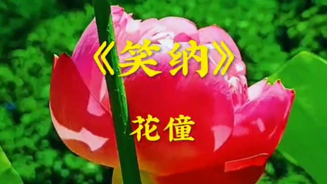 花僮代表作《笑纳》