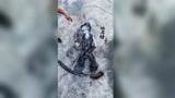 原神：班尼特永远的神，谁用谁知道！
