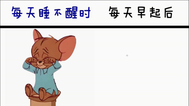 杰瑞每天睡不醒时vs每天早起后,早起傻一天,这个样子还挺搞笑