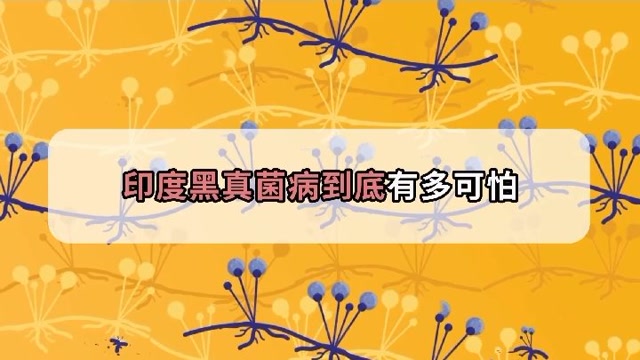 印度黑真菌病到底有多可怕?