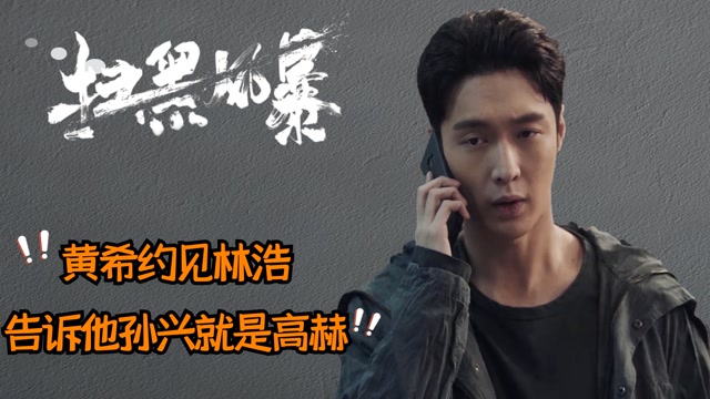 扫黑风暴:林浩,以后匡扶正义的事情就交给你了 #《扫黑风暴》短视频