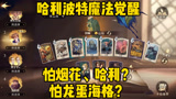哈利波特魔法觉醒烟花流克制纽特动物园