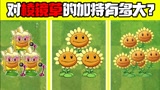 植物大战僵尸：不同的向日葵对棱镜草的加持有多大？