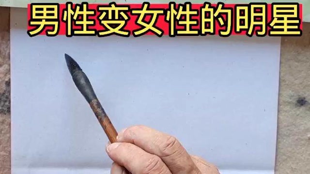 中国6个男性变女性的名人,其中金星名气最大的