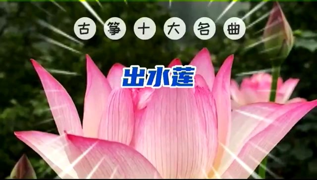 古筝十大名曲《出水莲》潮州音乐独奏曲,纯音乐,请欣赏